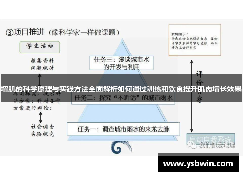 增肌的科学原理与实践方法全面解析如何通过训练和饮食提升肌肉增长效果