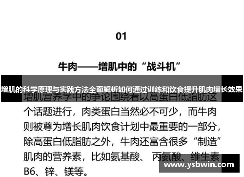 增肌的科学原理与实践方法全面解析如何通过训练和饮食提升肌肉增长效果