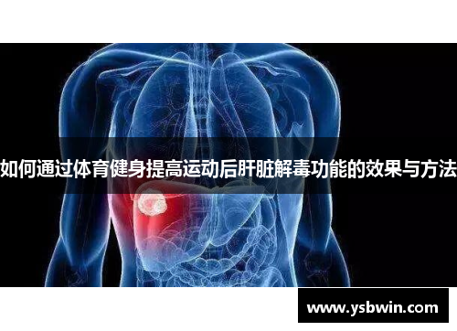 如何通过体育健身提高运动后肝脏解毒功能的效果与方法