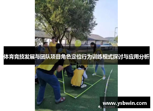 体育竞技发展与团队项目角色定位行为训练模式探讨与应用分析